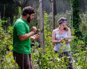 students working in the field 