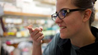 Ashley Rasys holds one of the lizards on her fingertip.