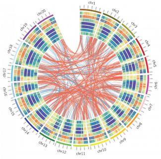 Genomics And Bioinformatics | Department Of Genetics