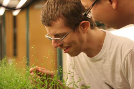 William Jordan and Lexiang Ji look over one of many sets of Arabidopsis thaliana, which were used to research a new plant breeding technique.
